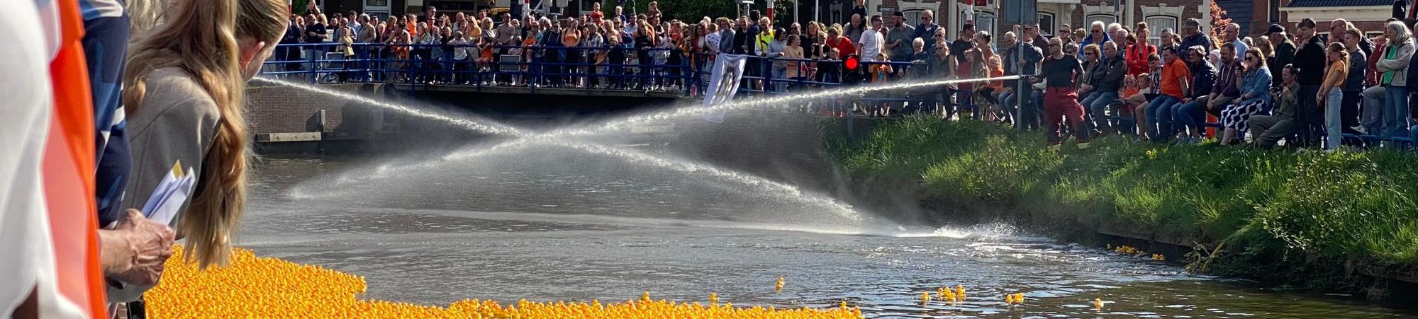 Badeendjes race 